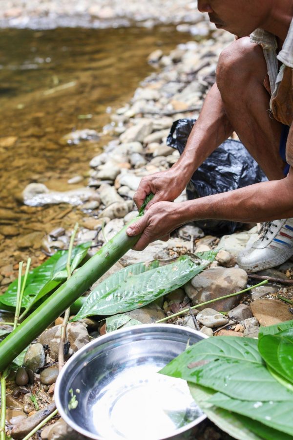 In Sarawak, the jungle is your kitchen. Pic: Shutterstock