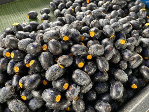 Buah dabai (Canarium Odontophyllum) eaten with sugar and soy sauce. Pic: Shutterstock