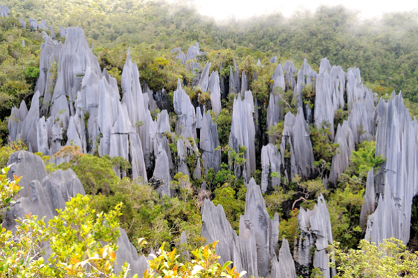 mulu pinnacles