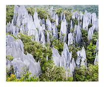 The Pinnacles Trail